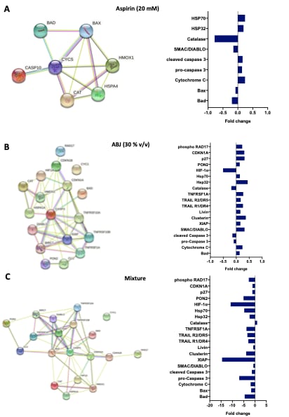 Proteome Profiler Human Apoptosis Array Kit ARY009