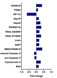 Proteome Profiler Human Apoptosis Array Kit ARY009