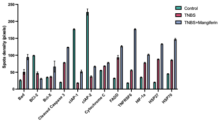 Proteome Profiler Human Apoptosis Array Kit ARY009