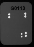 Proteome Profiler Human Pluripotent Stem Cell Array Kit ARY010