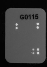 Proteome Profiler Human Pluripotent Stem Cell Array Kit ARY010
