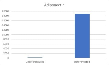 Proteome Profiler Mouse Adipokine Array Kit ARY013