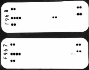 Proteome Profiler Mouse Adipokine Array Kit ARY013