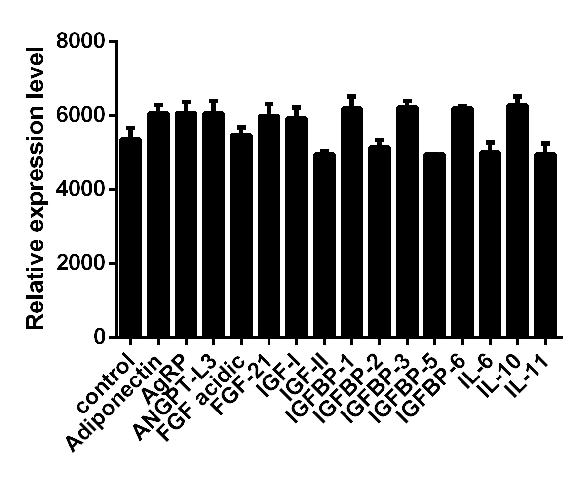 Proteome Profiler Mouse Adipokine Array Kit ARY013
