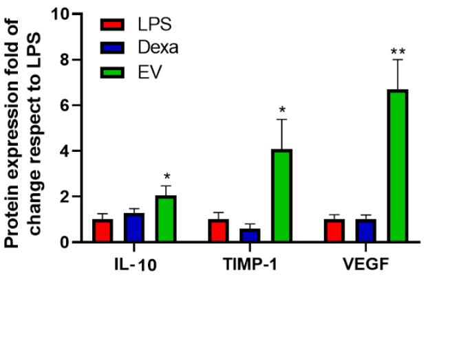Proteome Profiler Mouse Angiogenesis Array Kit ARY015