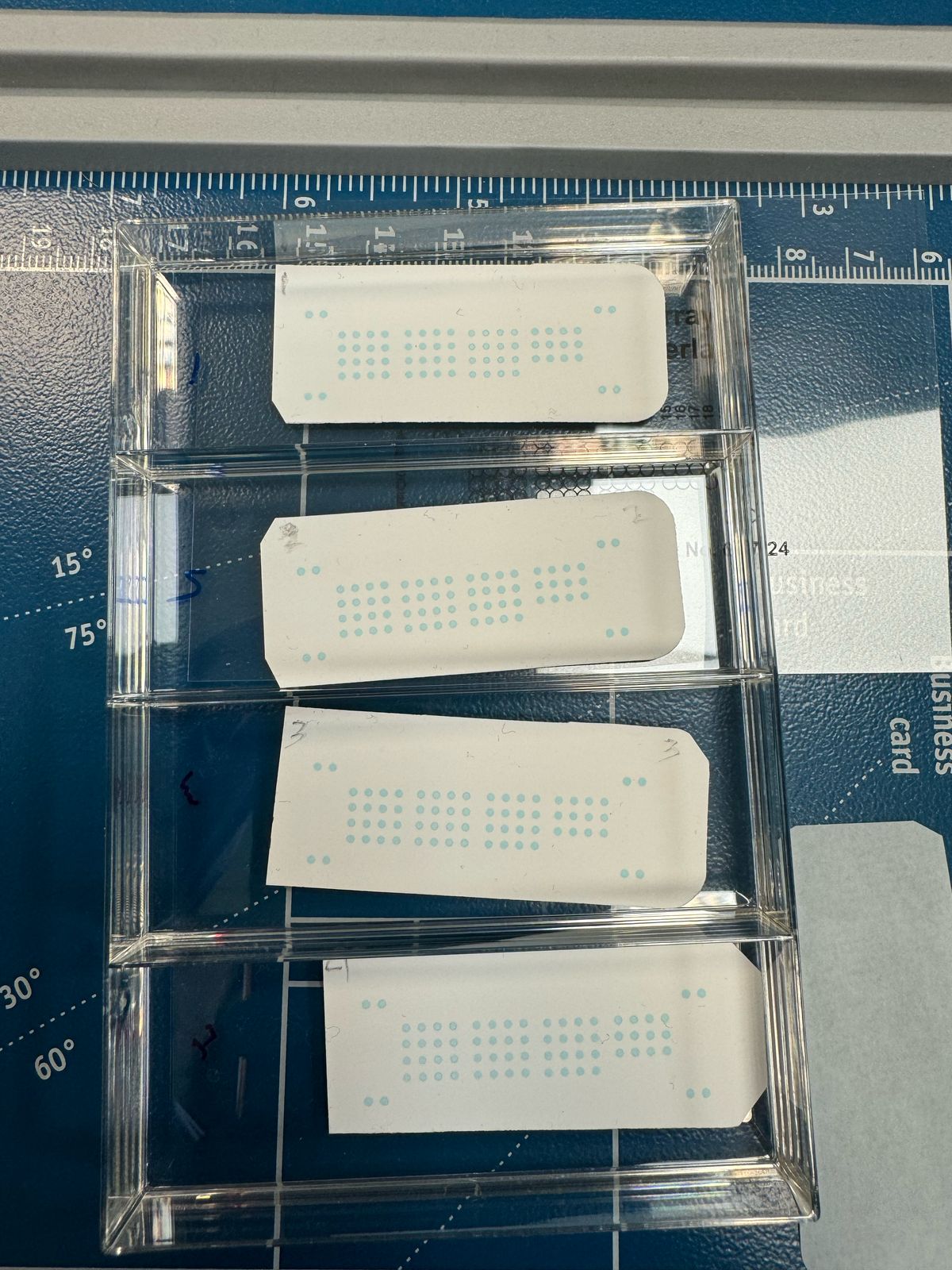 Proteome Profiler Rat Adipokine Array Kit ARY016