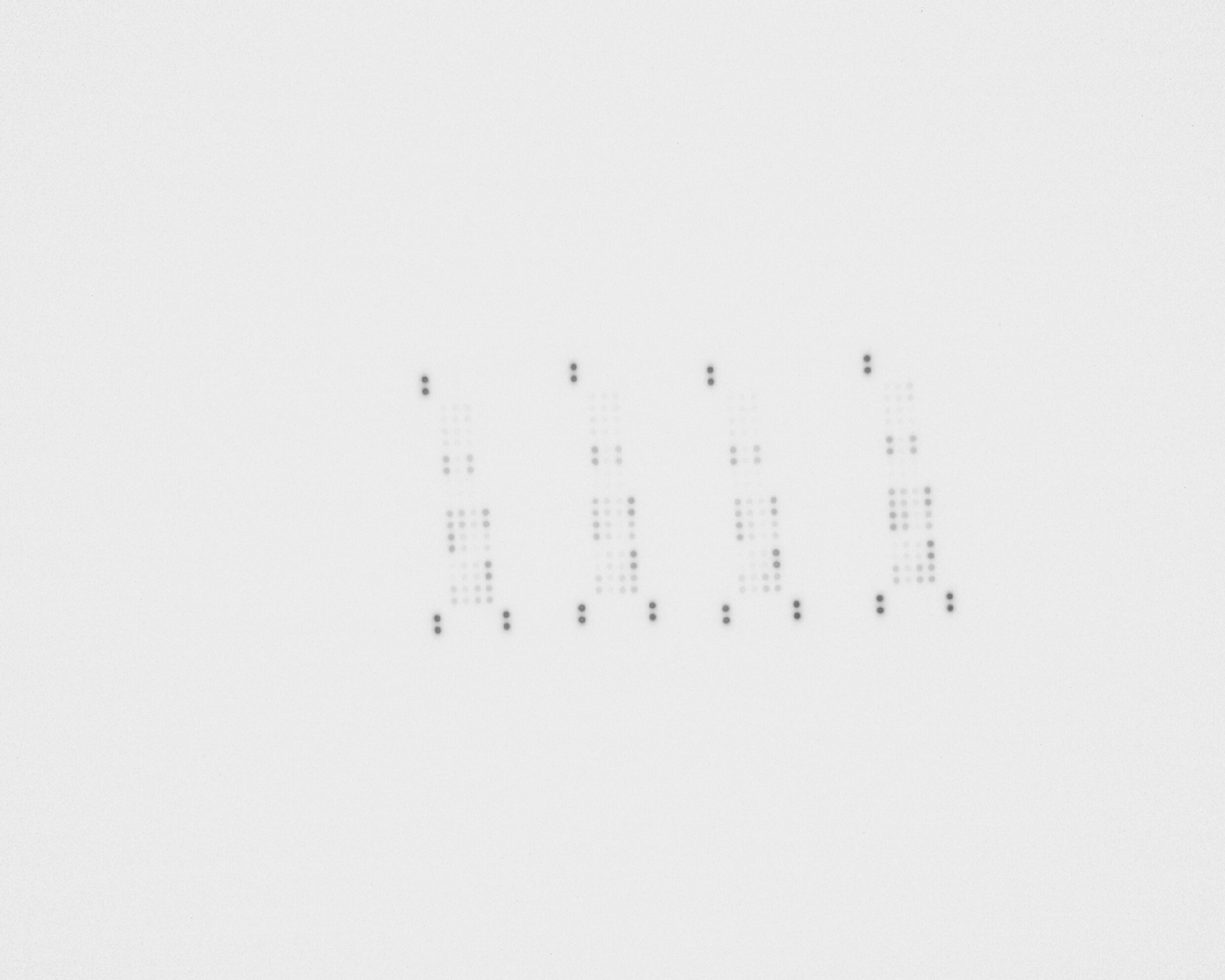Proteome Profiler Mouse Chemokine Array Kit ARY020
