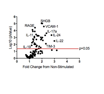 Proteome Profiler Human XL Cytokine Array Kit ARY022B