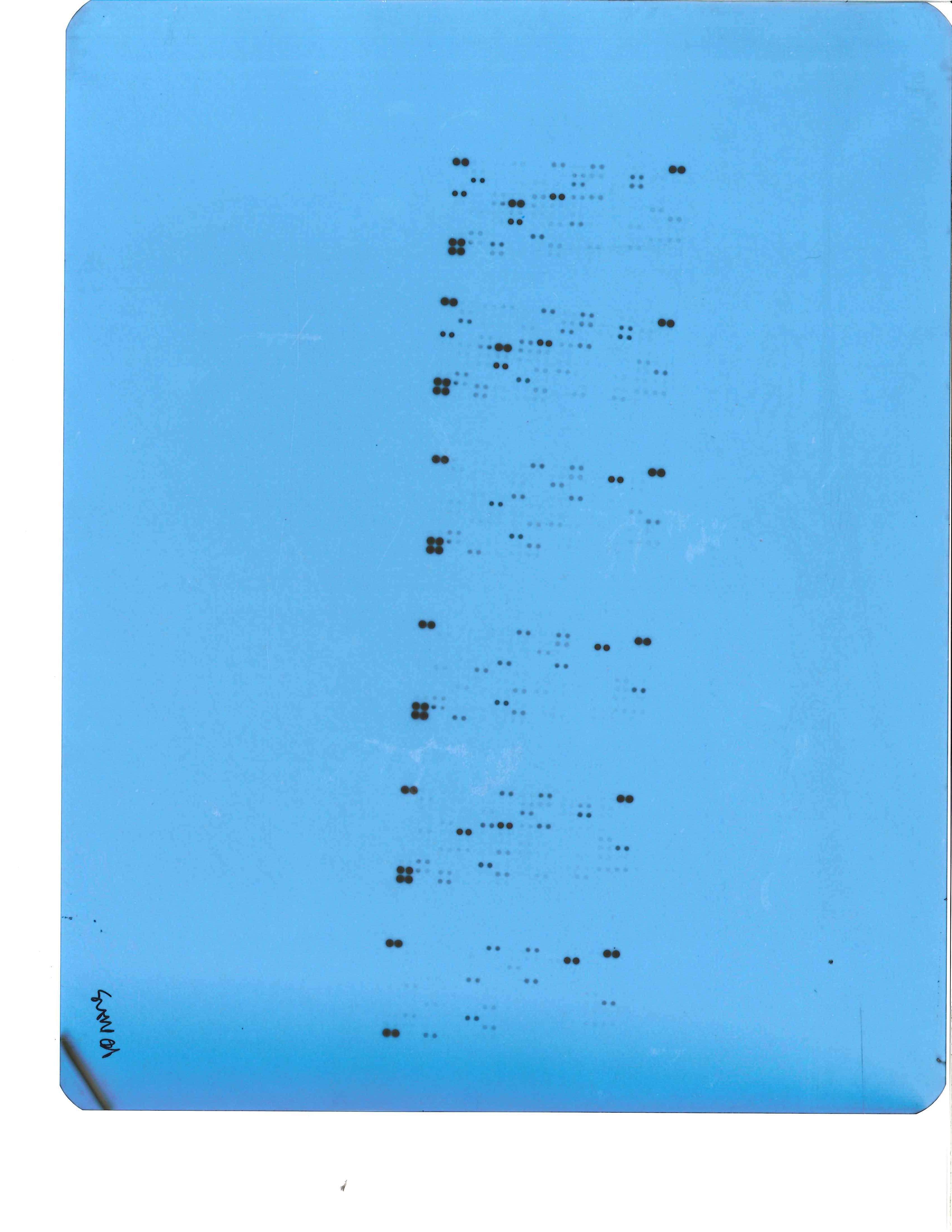 Proteome Profiler Human XL Cytokine Array Kit ARY022B