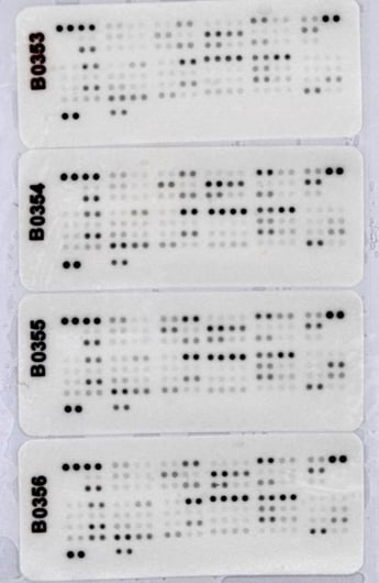 Proteome Profiler Human XL Cytokine Array Kit ARY022B