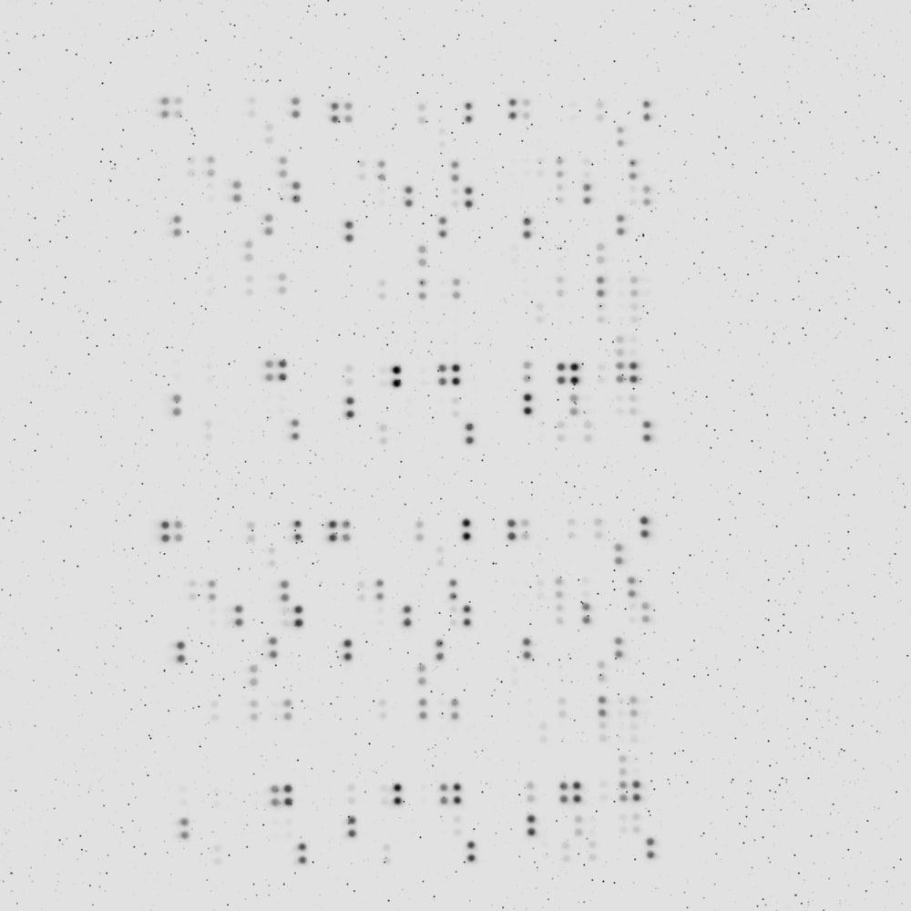 Proteome Profiler Human XL Cytokine Array Kit ARY022B