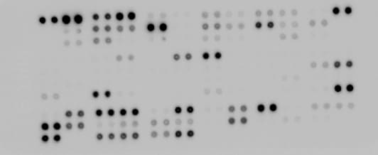 Proteome Profiler Human XL Cytokine Array Kit ARY022B