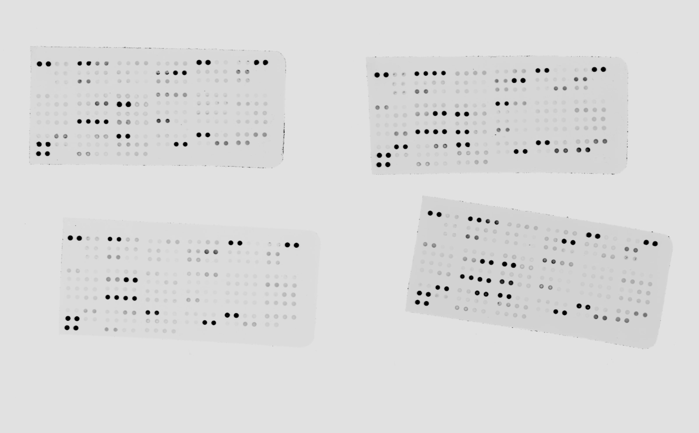 Proteome Profiler Human XL Cytokine Array Kit ARY022B