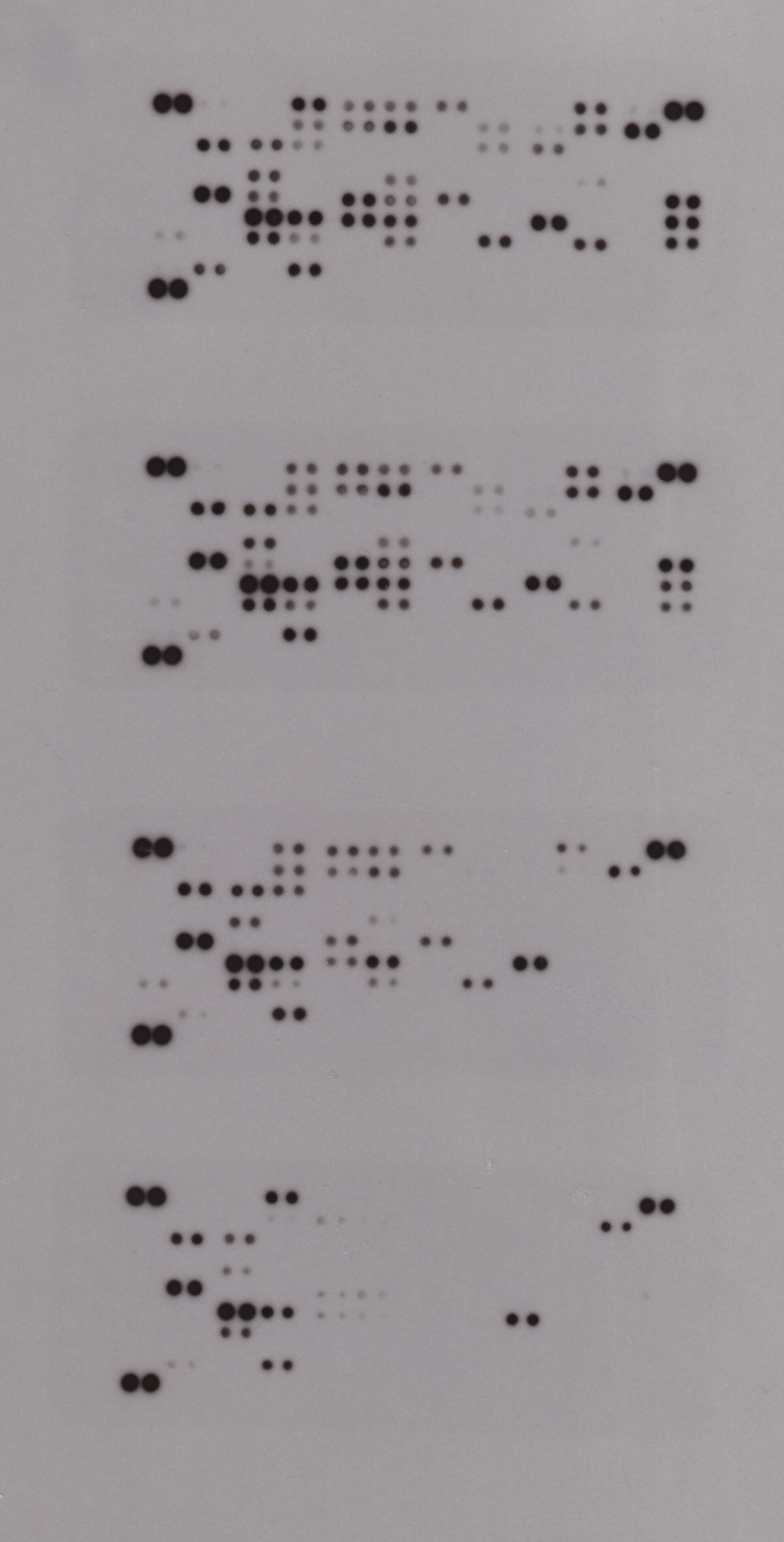 Proteome Profiler Human XL Oncology Array ARY026