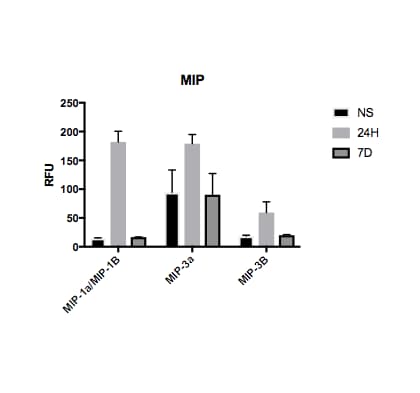 Proteome Profiler Mouse XL Cytokine Array ARY028