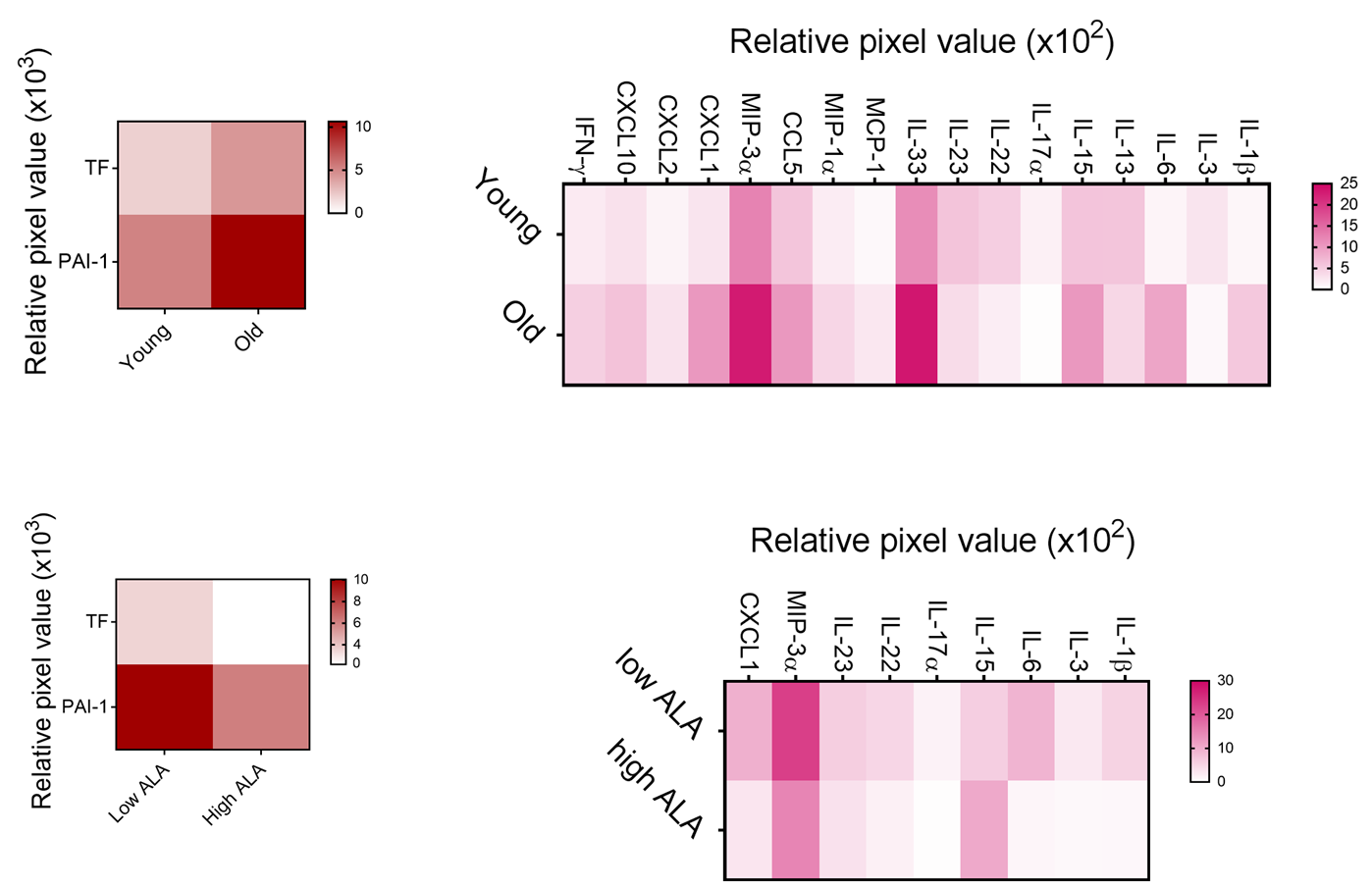 Proteome Profiler Mouse XL Cytokine Array ARY028