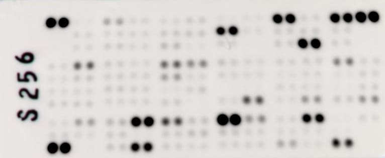 Proteome Profiler Mouse XL Cytokine Array ARY028