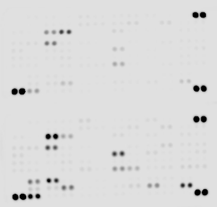 Proteome Profiler Mouse XL Cytokine Array ARY028