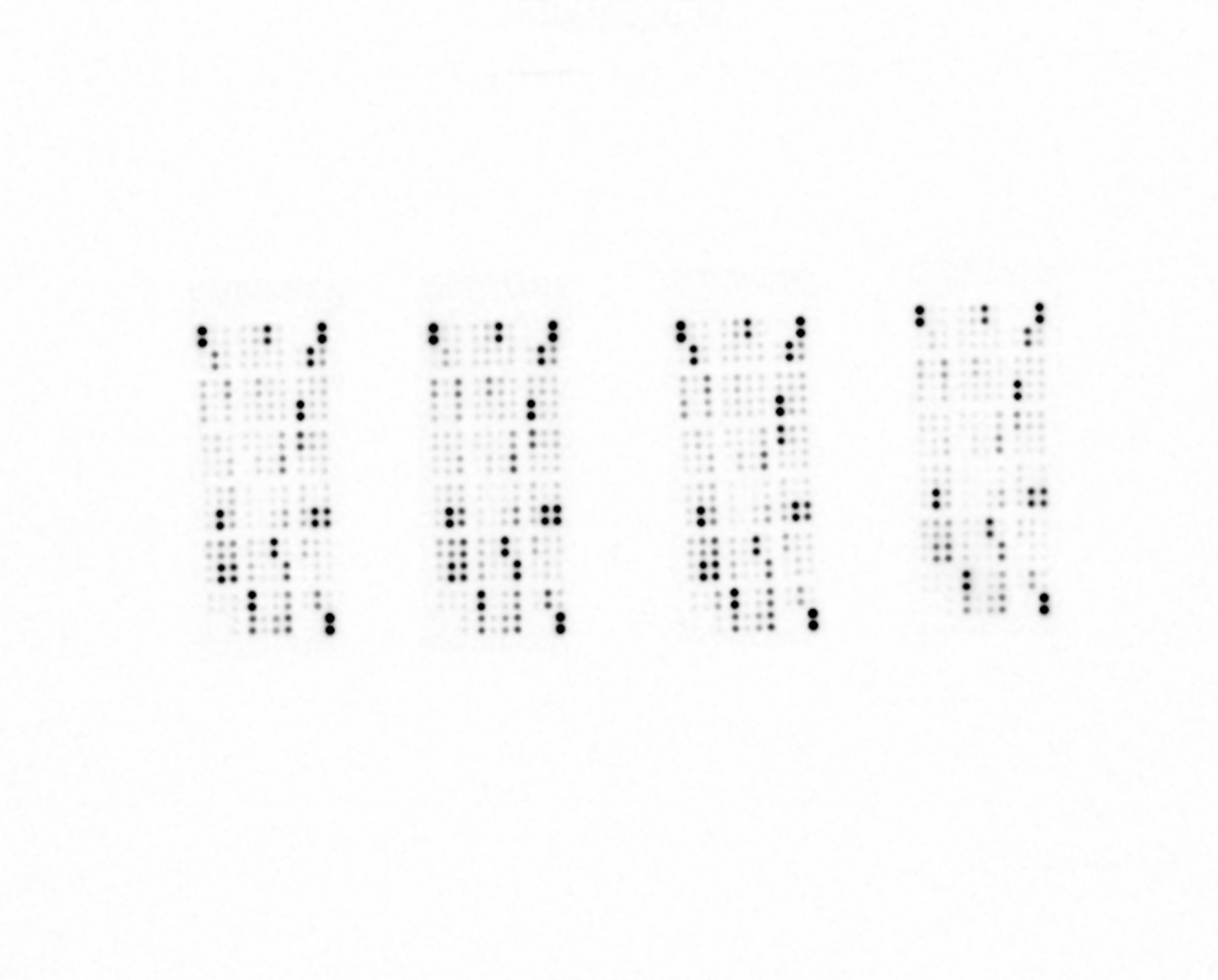 Proteome Profiler Mouse XL Cytokine Array ARY028