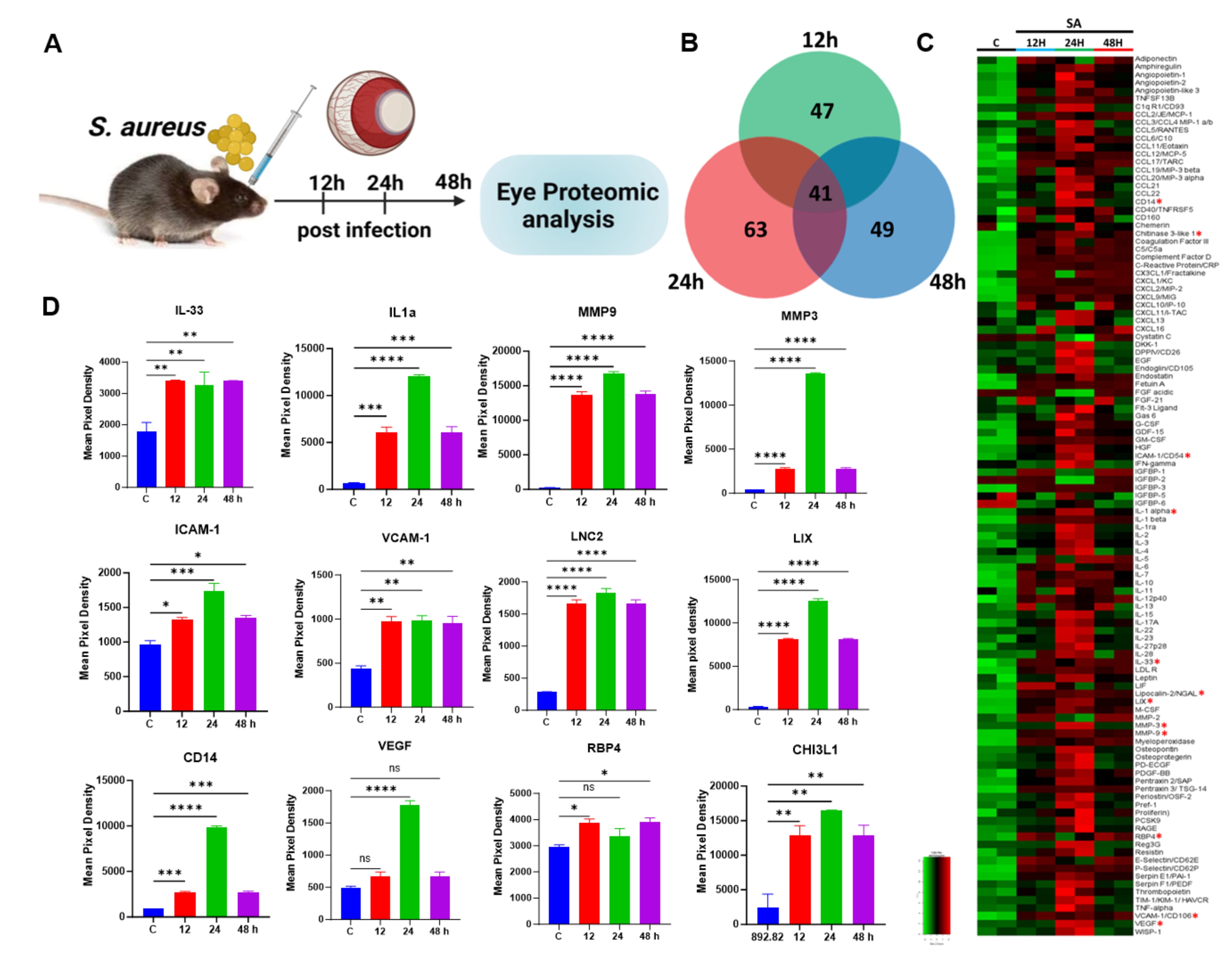 Proteome Profiler Mouse XL Cytokine Array ARY028