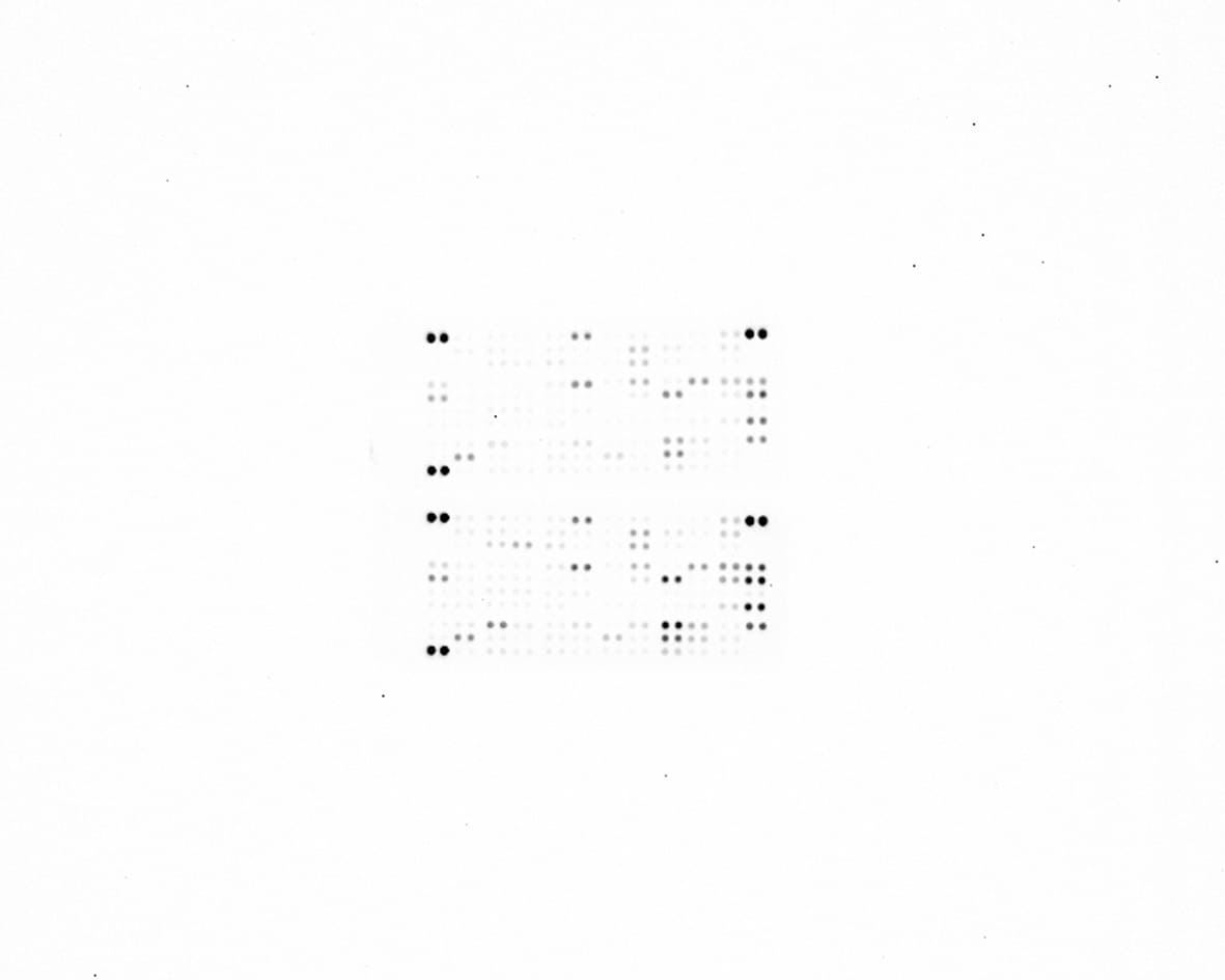 Proteome Profiler Mouse XL Cytokine Array ARY028