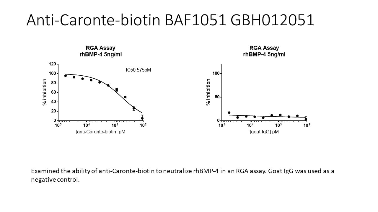 Chicken Caronte Biotinylated Antibody BAF1051