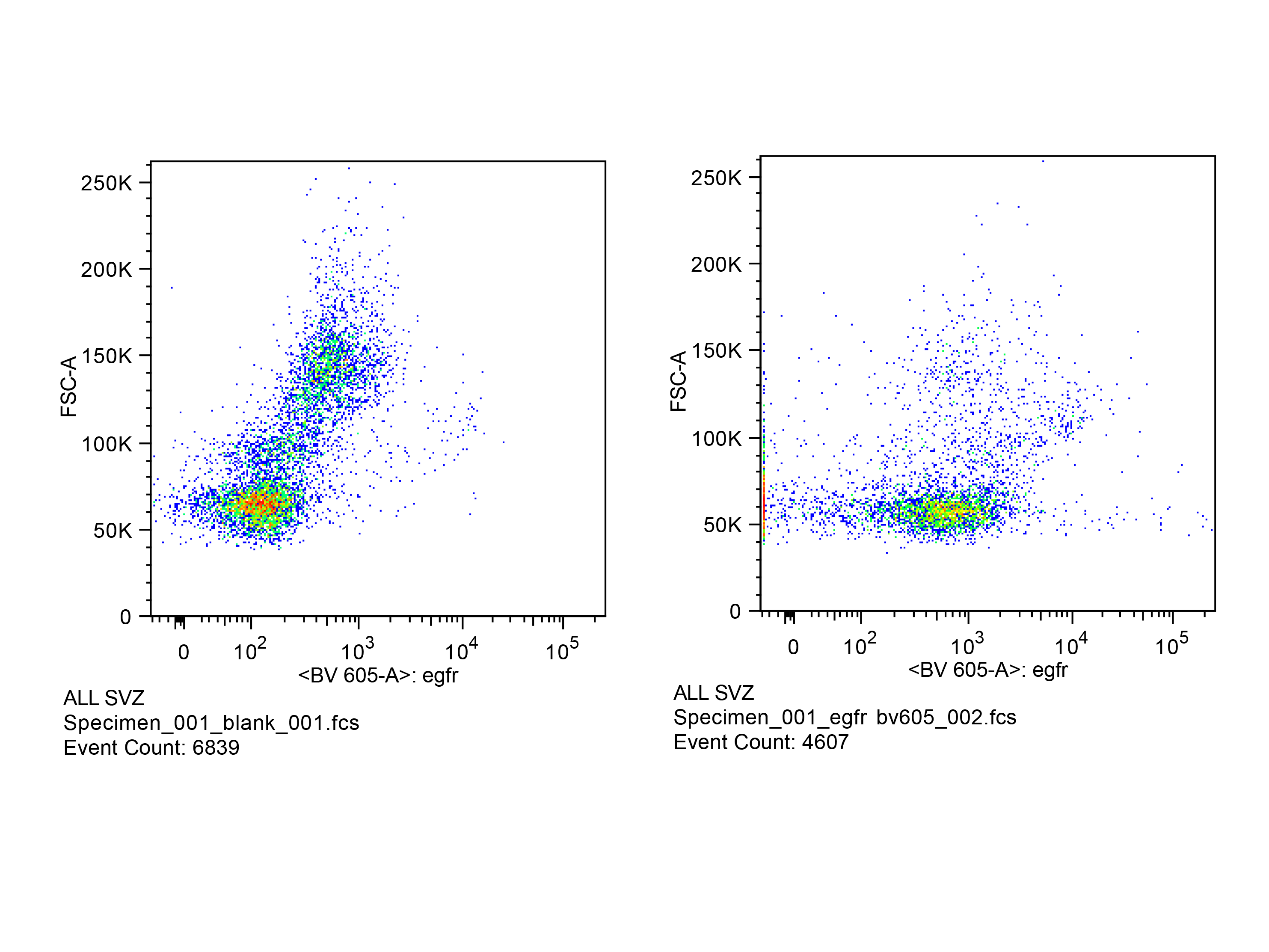 Mouse EGFR Biotinylated Antibody BAF1280