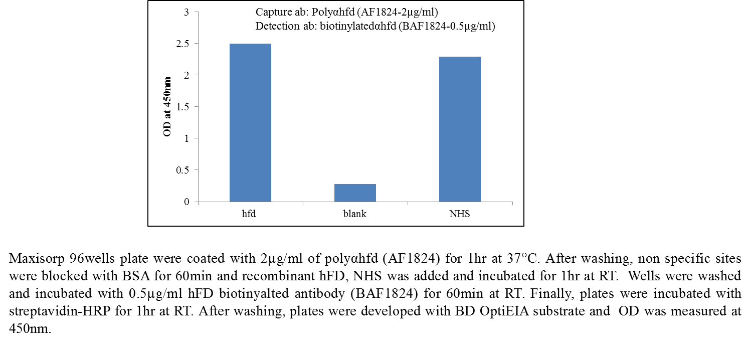 Human Complement Factor D/Adipsin Biotinylated Antibody BAF1824