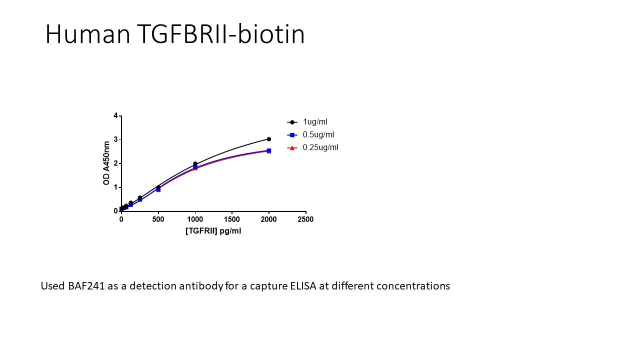 Human TGF‑ beta  RII Biotinylated Antibody BAF241