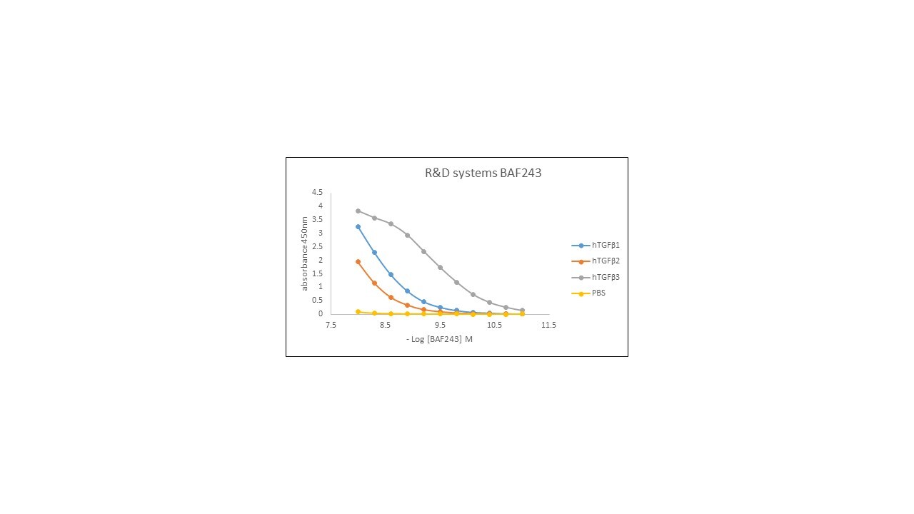 TGF‑ beta 3 Biotinylated Antibody BAF243