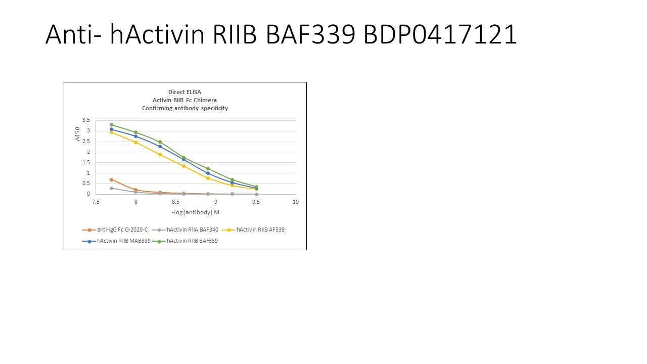 Human Activin RIIB Biotinylated Antibody BAF339