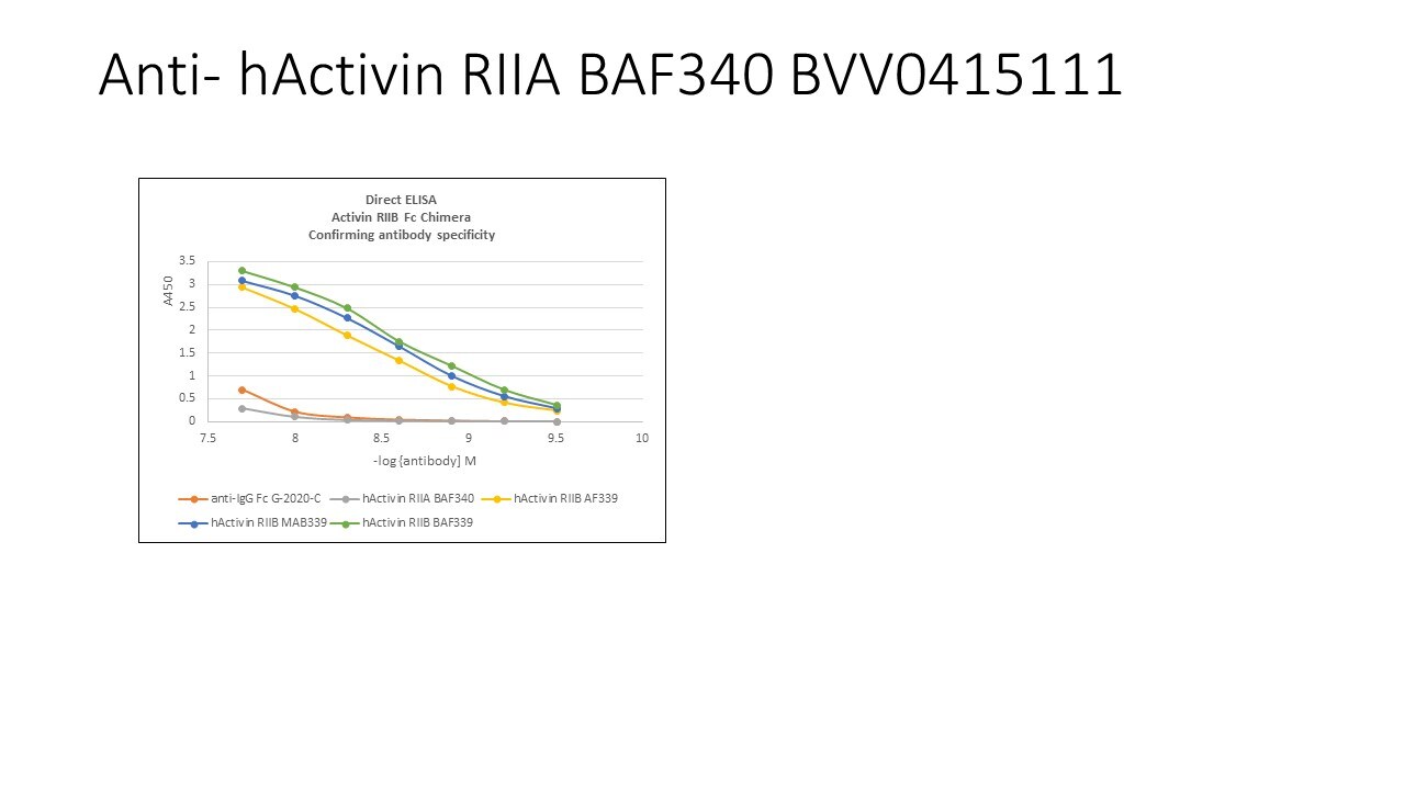 Human Activin RIIA Biotinylated Antibody BAF340