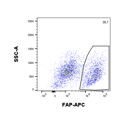 Human Fibroblast Activation Protein  alpha /FAP Biotinylated Antibody BAF3715