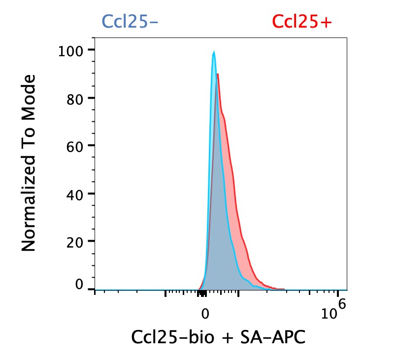 Mouse CCL25/TECK Biotinylated Antibody BAF481