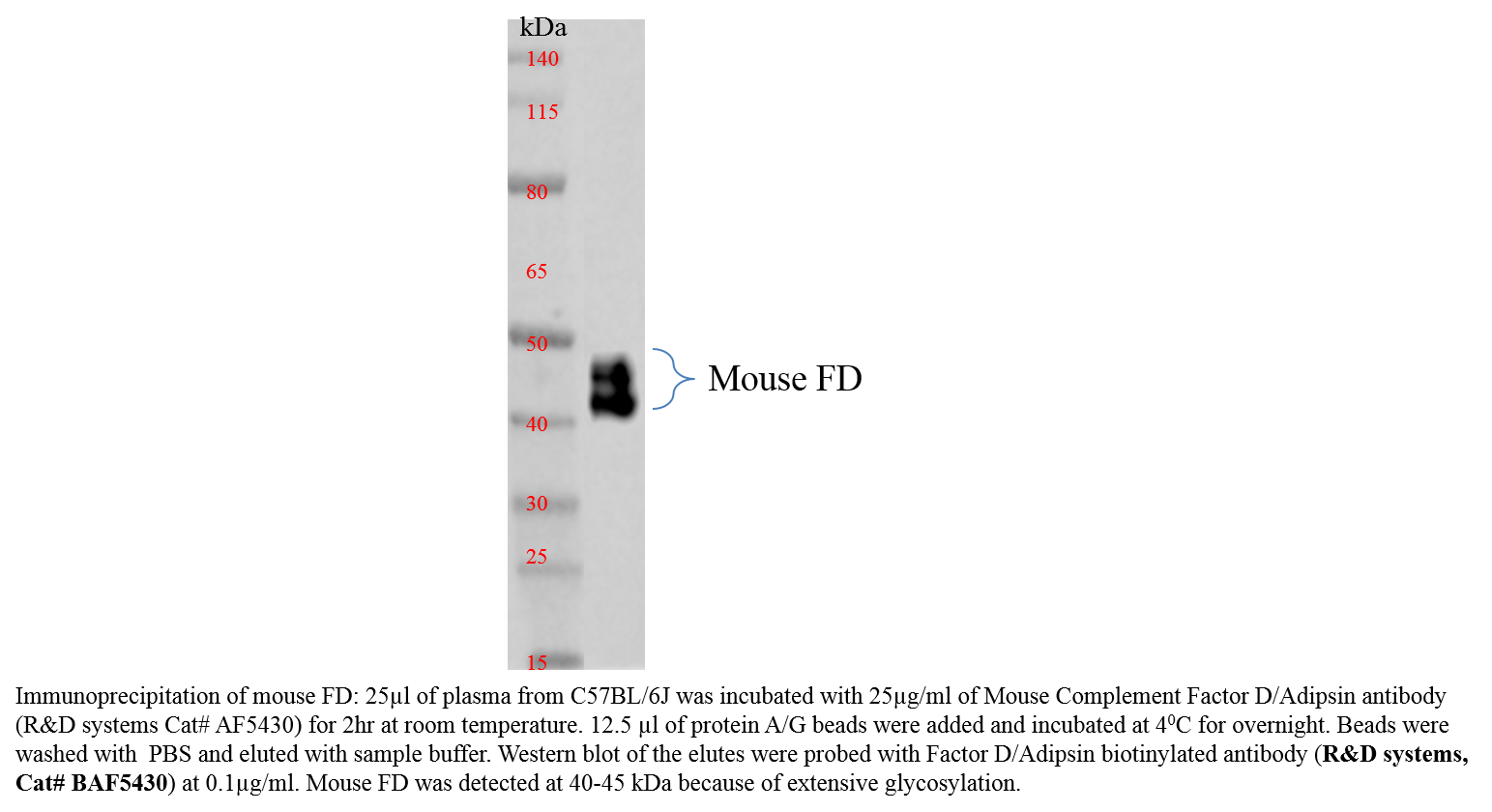 Mouse Complement Factor D/Adipsin Biotinylated Antibody BAF5430