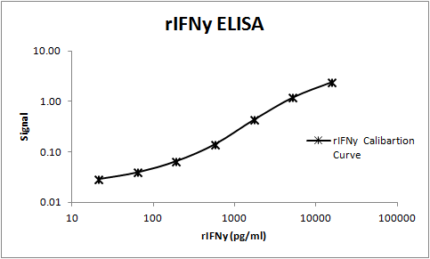Rat IFN‑ gamma  Biotinylated Antibody BAF585