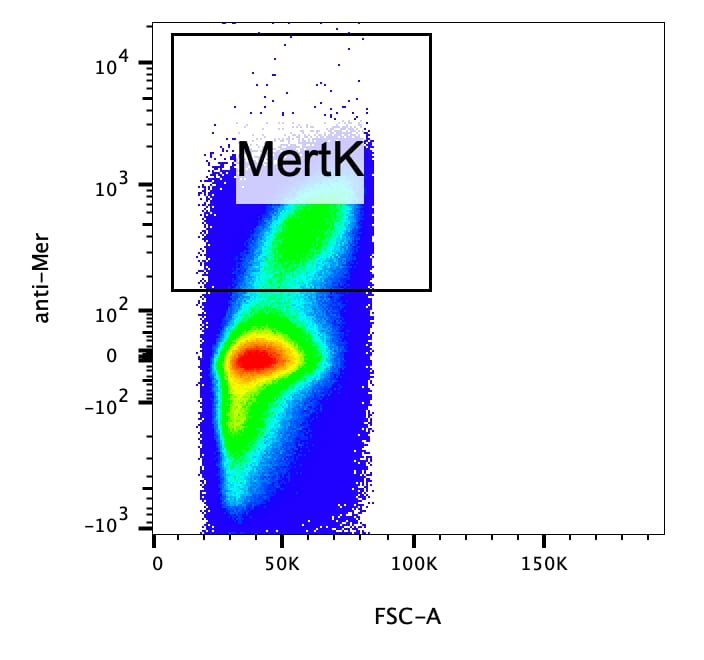 Mouse Mer Biotinylated Antibody BAF591