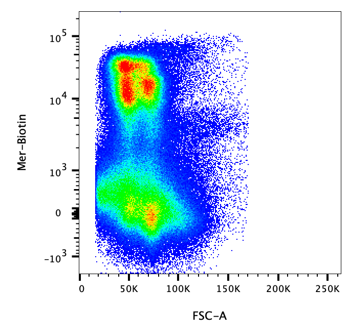 Mouse Mer Biotinylated Antibody BAF591