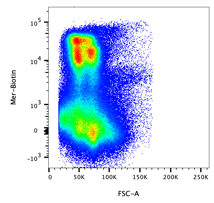 Mouse Mer Biotinylated Antibody BAF591