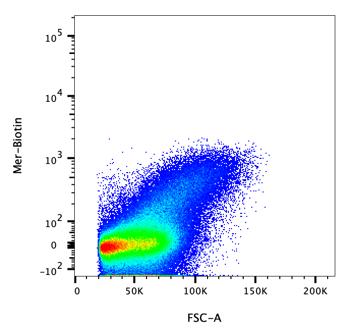 Mouse Mer Biotinylated Antibody BAF591