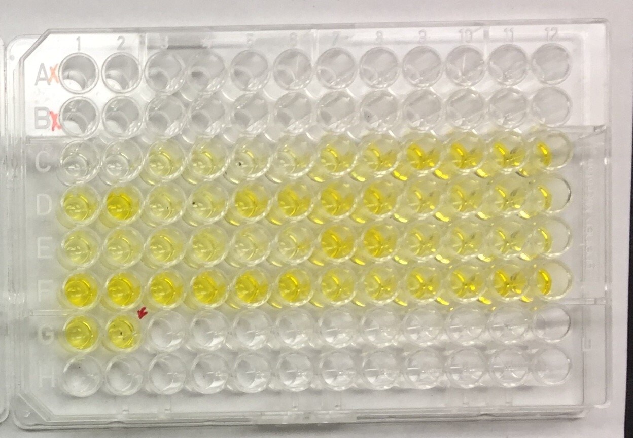 Porcine IL‑1 beta /IL‑1F2 Biotinylated Antibody BAF681
