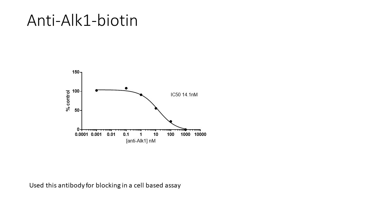 Mouse ALK‑1 Biotinylated Antibody BAF770
