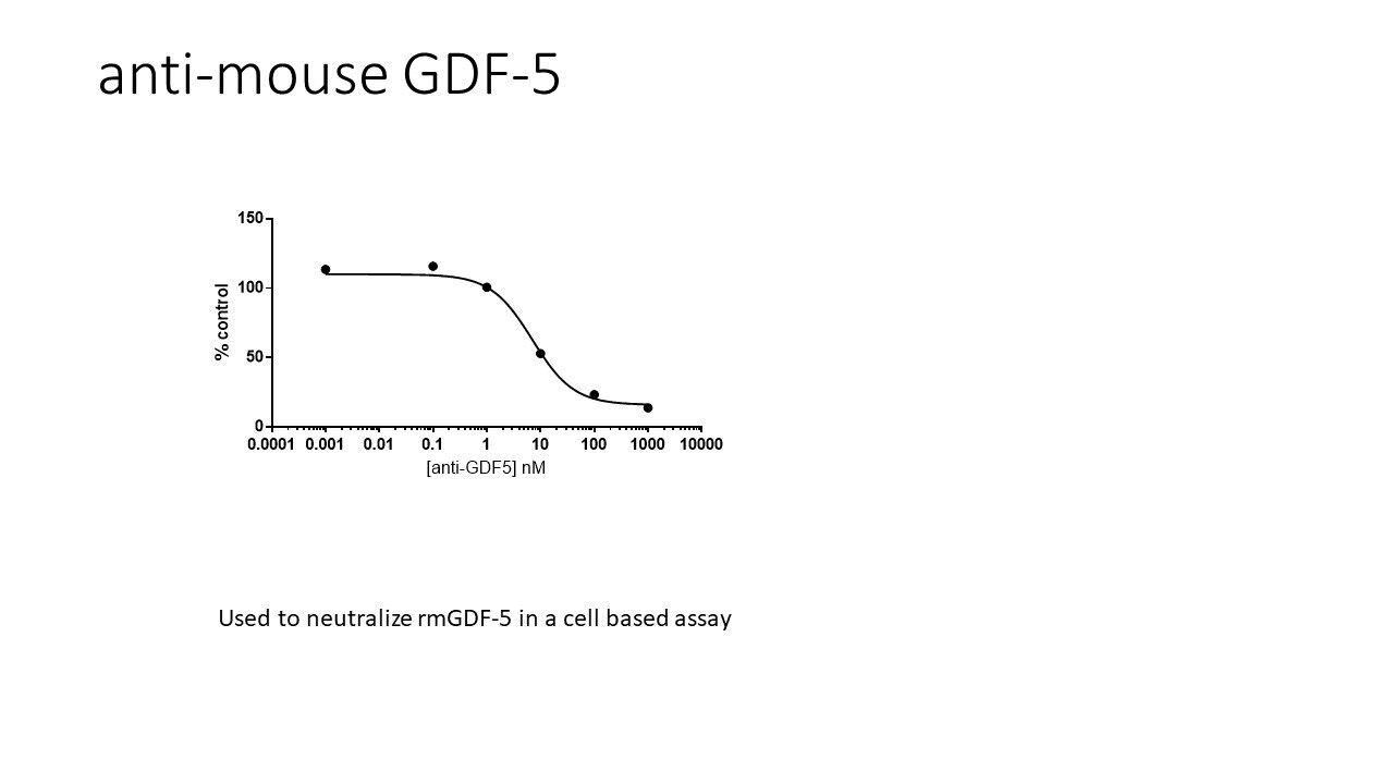 Mouse GDF‑5/BMP‑14 Biotinylated Antibody BAF853