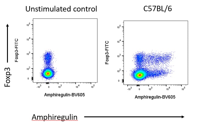 Mouse Amphiregulin Biotinylated Antibody BAF989