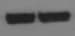 His Tag Biotinylated Antibody BAM050