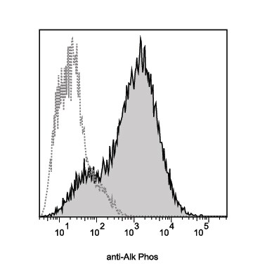 Human Alkaline Phosphatase/ALPL Biotinylated Antibody BAM1448
