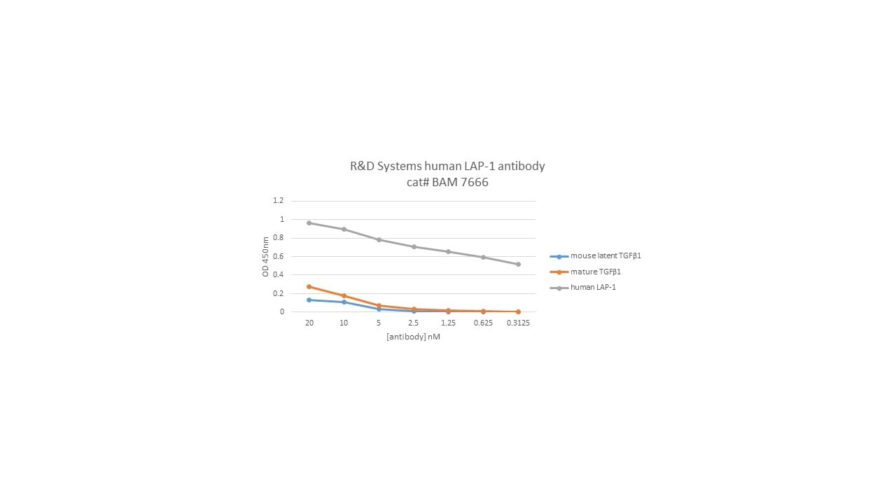 Human LAP TGF-beta 1 Biotinylated Antibody BAM2462