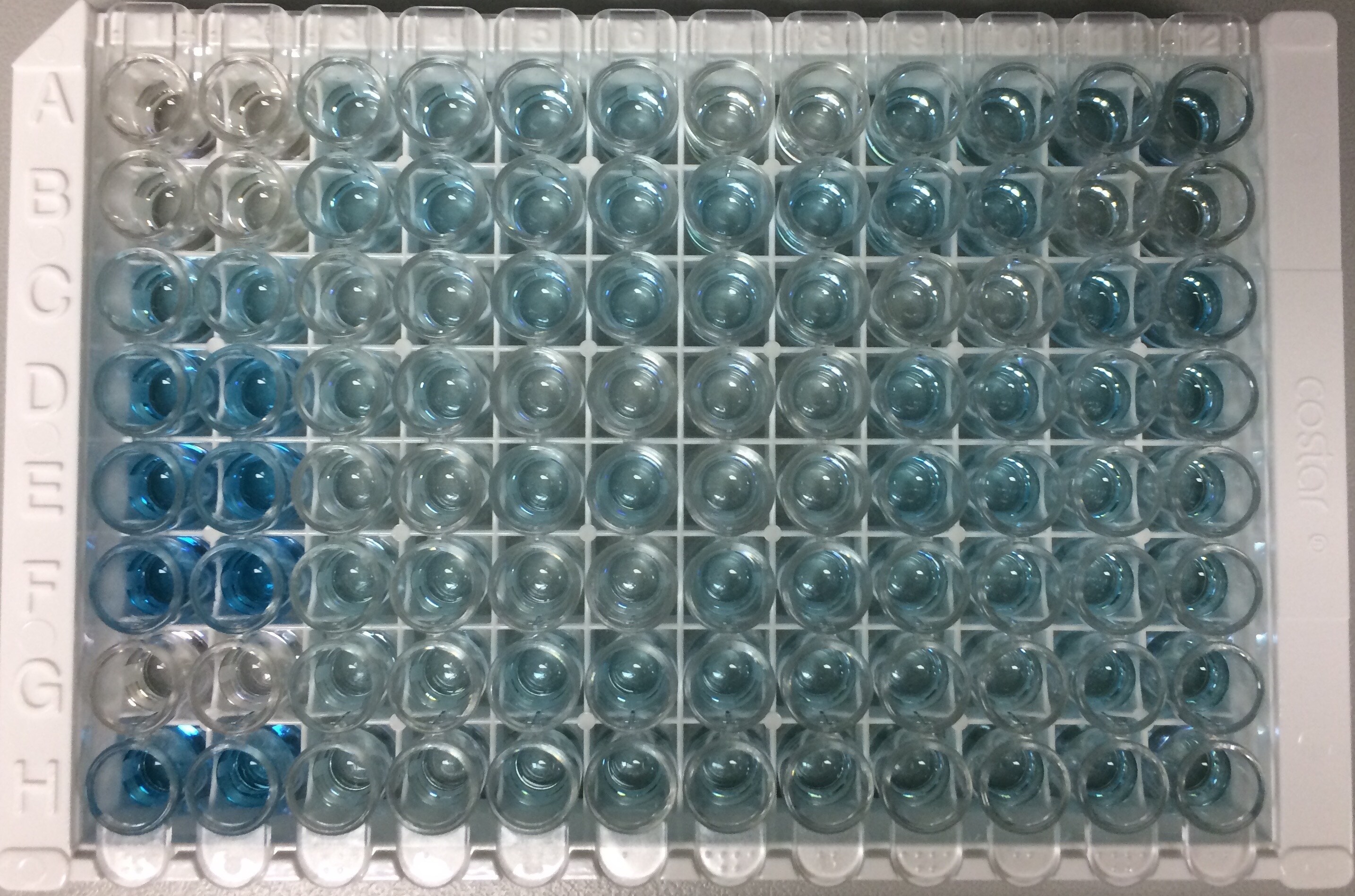 Human P-Selectin/CD62P ELISA Kit BBE6