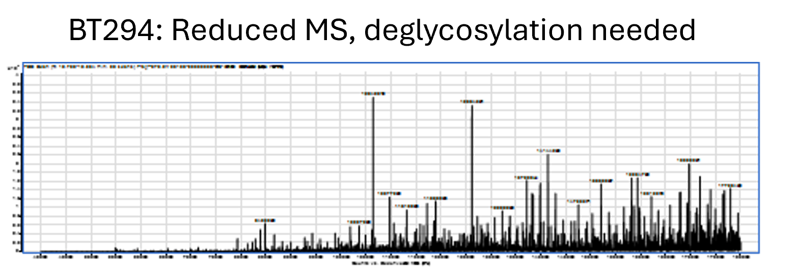 Recombinant Human HGF (NS0-expressed) Biotin Protein, CF BT294