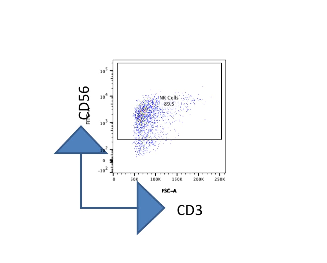 CellXVivo Human NK Cell Expansion Kit CDK015